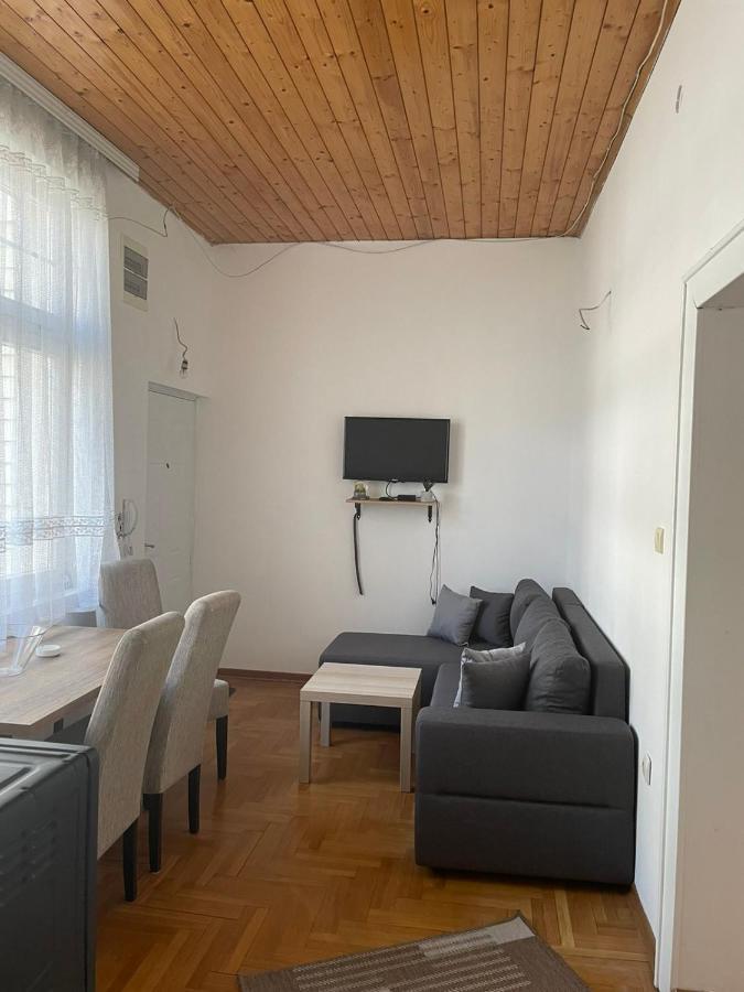 Vila Miletic Vrnjačka Banja Kültér fotó