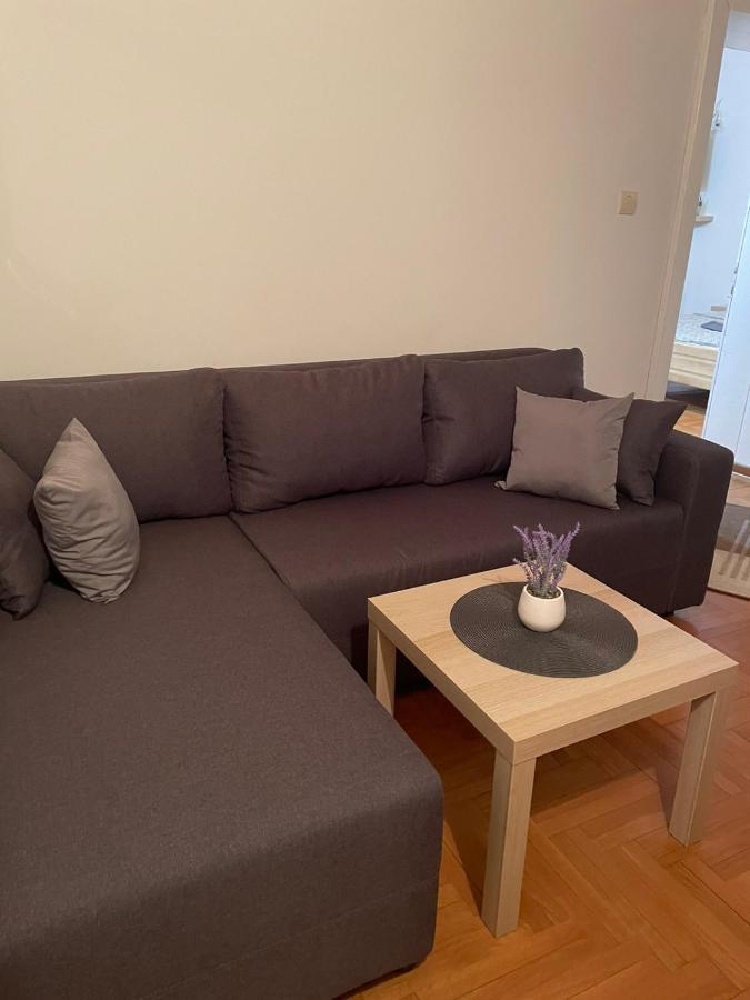 Vila Miletic Vrnjačka Banja Kültér fotó