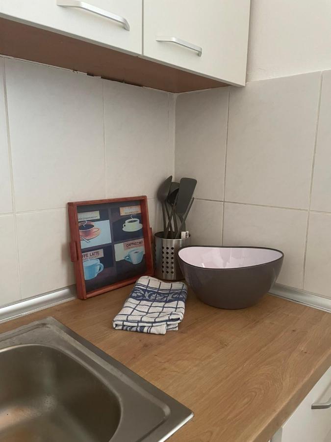 Vila Miletic Vrnjačka Banja Kültér fotó