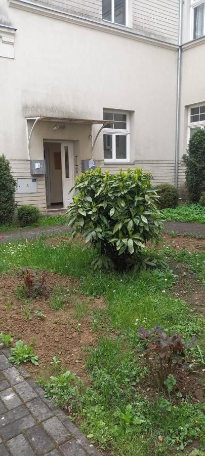 Vila Miletic Vrnjačka Banja Kültér fotó