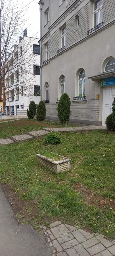 Vila Miletic Vrnjačka Banja Kültér fotó