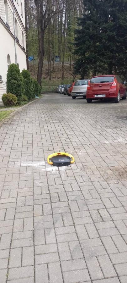 Vila Miletic Vrnjačka Banja Kültér fotó